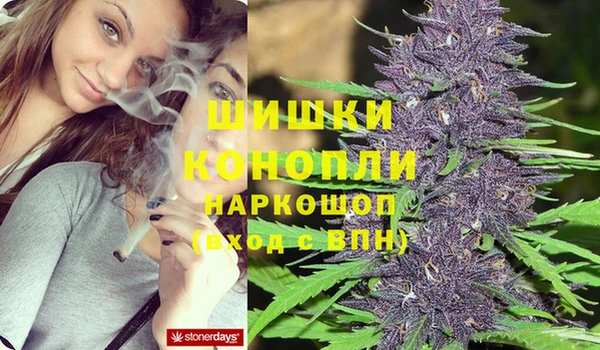 прущая мука Горняк