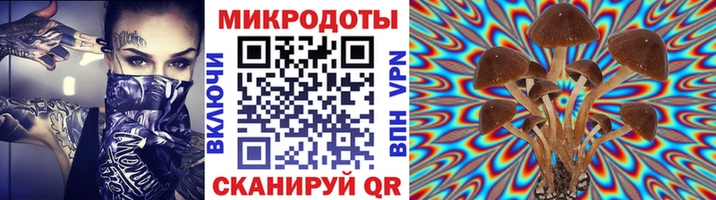 купить наркотики цена  Волгореченск  Галлюциногенные грибы Cubensis 